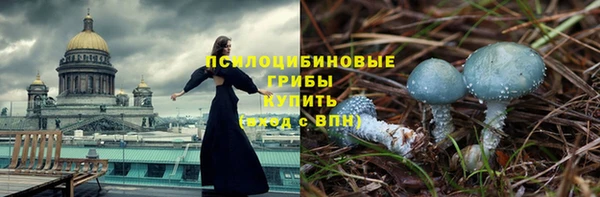 дмт Алексеевка